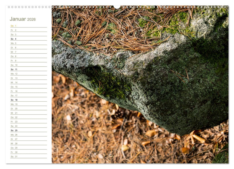 Landschaft Abstrakt - Elbsandstein (CALVENDO Wandkalender 2026)