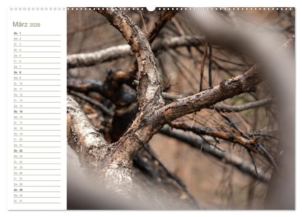 Landschaft Abstrakt - Elbsandstein (CALVENDO Wandkalender 2026)