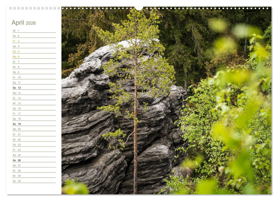 Landschaft Abstrakt - Elbsandstein (CALVENDO Wandkalender 2026)