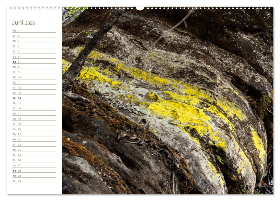 Landschaft Abstrakt - Elbsandstein (CALVENDO Wandkalender 2026)