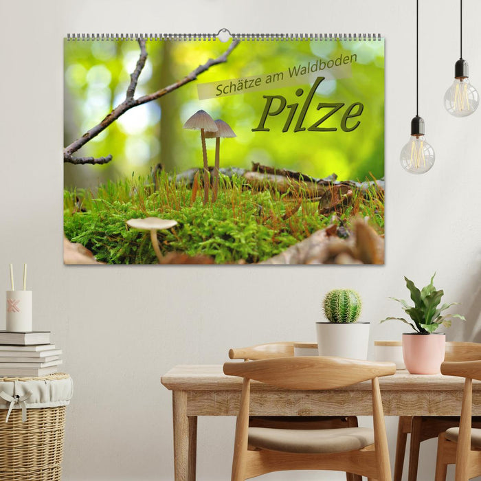 Pilze - Schätze am Waldboden (CALVENDO Wandkalender 2026)