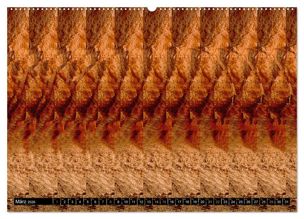 Magische Bilder - Stereogramme und 3D-Illusionen (CALVENDO Premium Wandkalender 2026)
