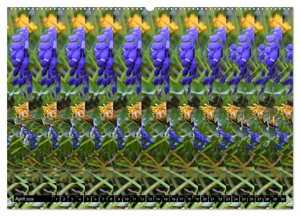 Magische Bilder - Stereogramme und 3D-Illusionen (CALVENDO Premium Wandkalender 2026)