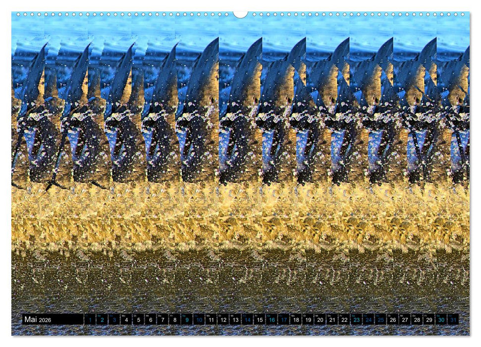 Magische Bilder - Stereogramme und 3D-Illusionen (CALVENDO Premium Wandkalender 2026)