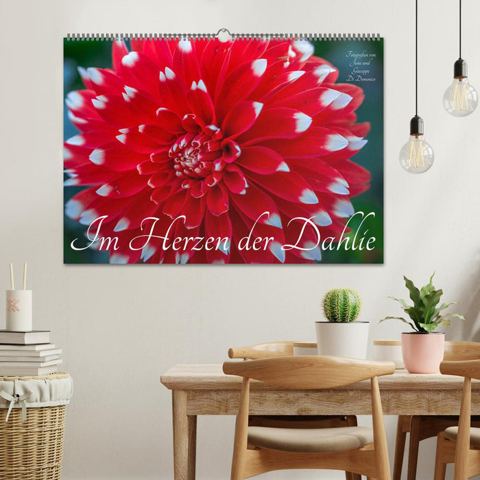 Im Herzen der Dahlie (CALVENDO Wandkalender 2026)