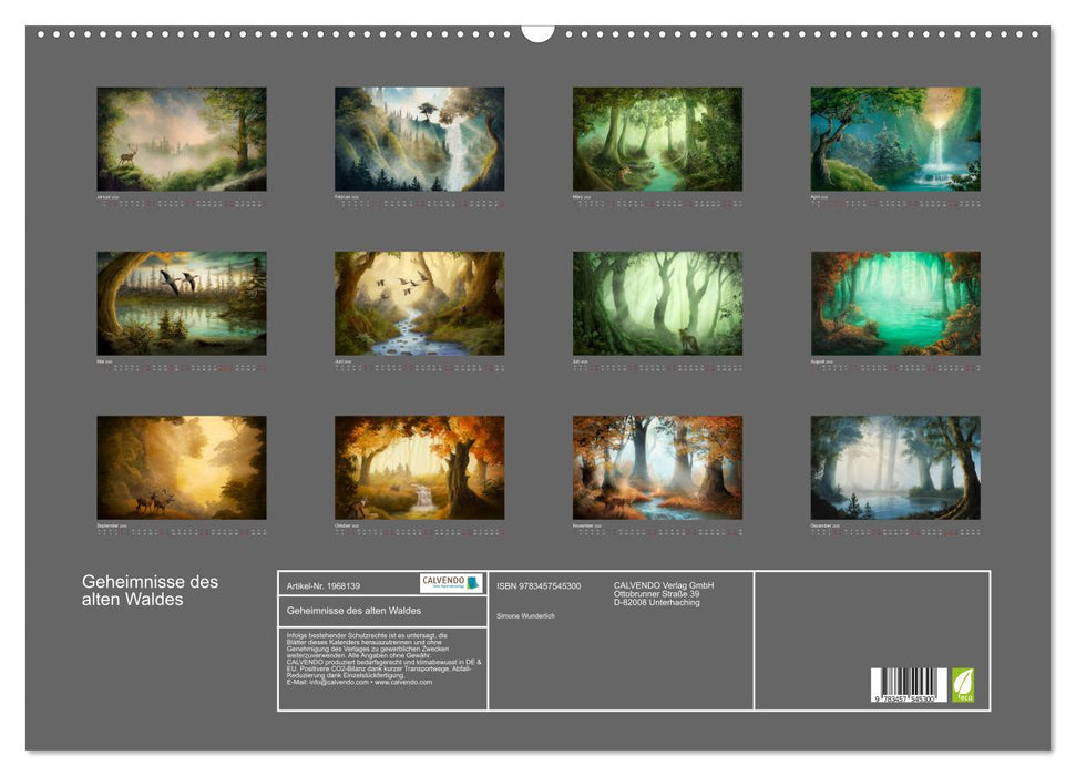 Geheimnisse des alten Waldes (CALVENDO Wandkalender 2026)