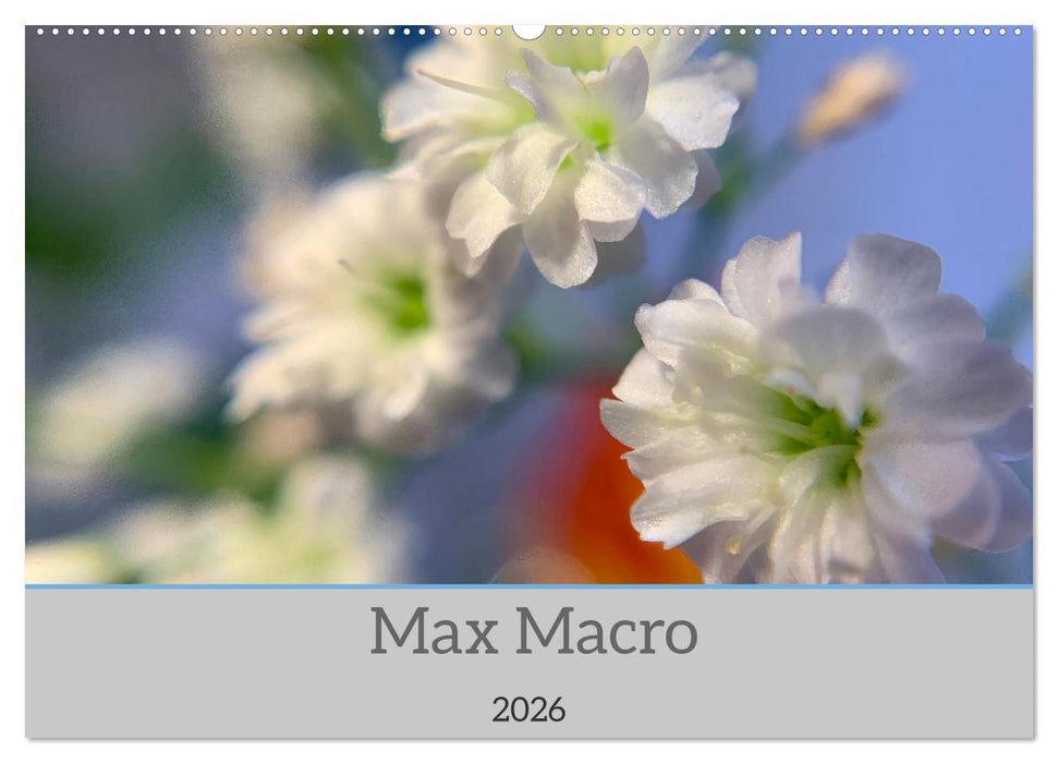 Max Macro (CALVENDO Wandkalender 2026)