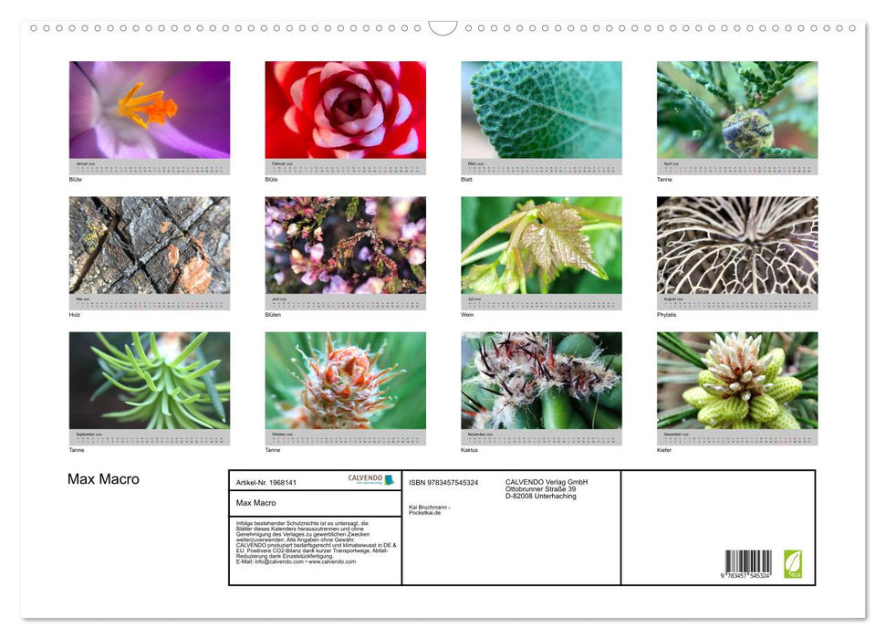 Max Macro (CALVENDO Wandkalender 2026)