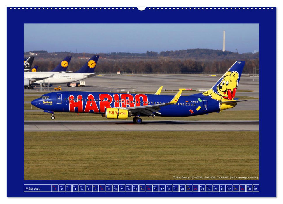 Bunte Airliner (CALVENDO Premium Wandkalender 2026)