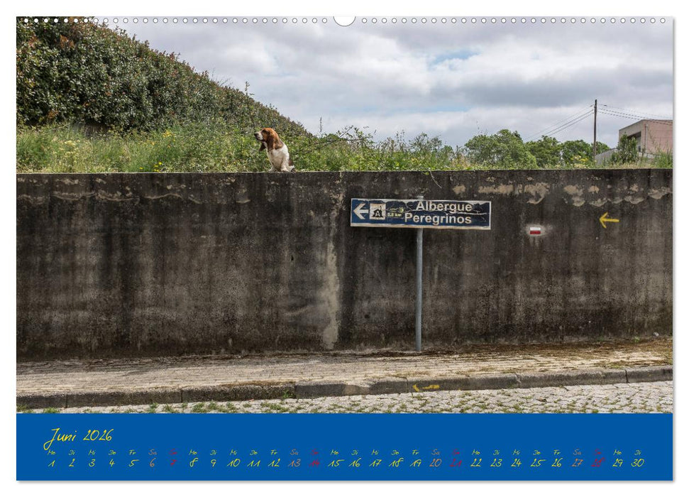 Camino 2026 (CALVENDO Wandkalender 2026)