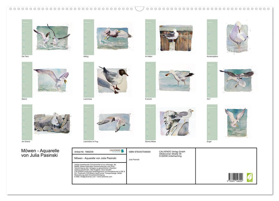 Möwen - Aquarelle von Julia Pasinski (CALVENDO Wandkalender 2026)