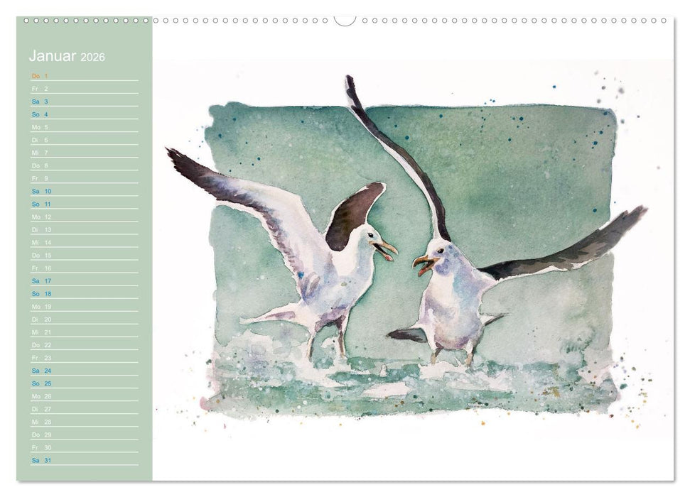 Möwen - Aquarelle von Julia Pasinski (CALVENDO Wandkalender 2026)