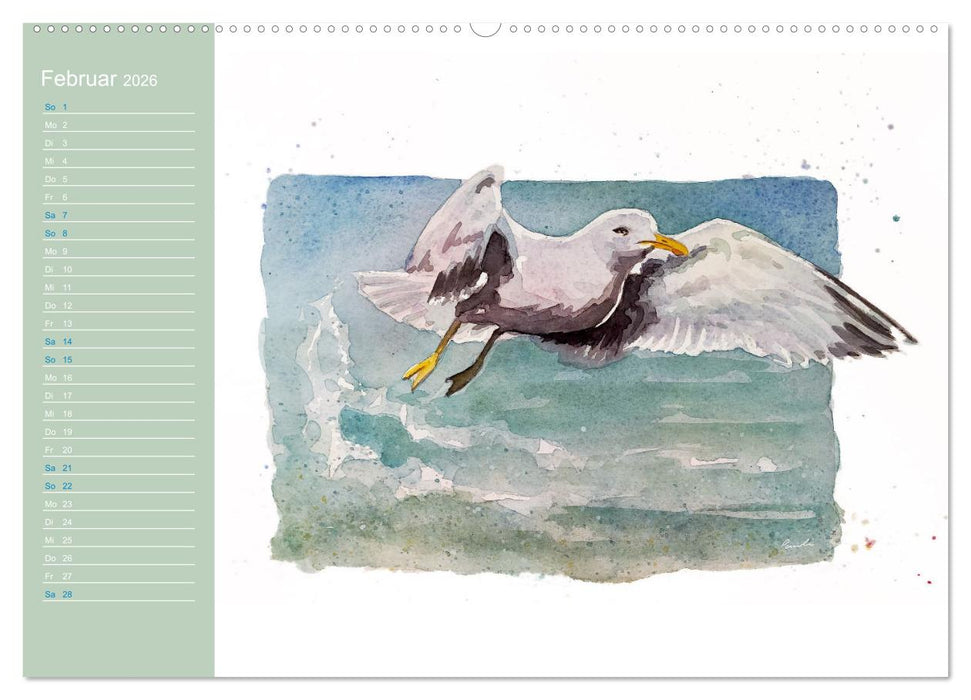 Möwen - Aquarelle von Julia Pasinski (CALVENDO Wandkalender 2026)