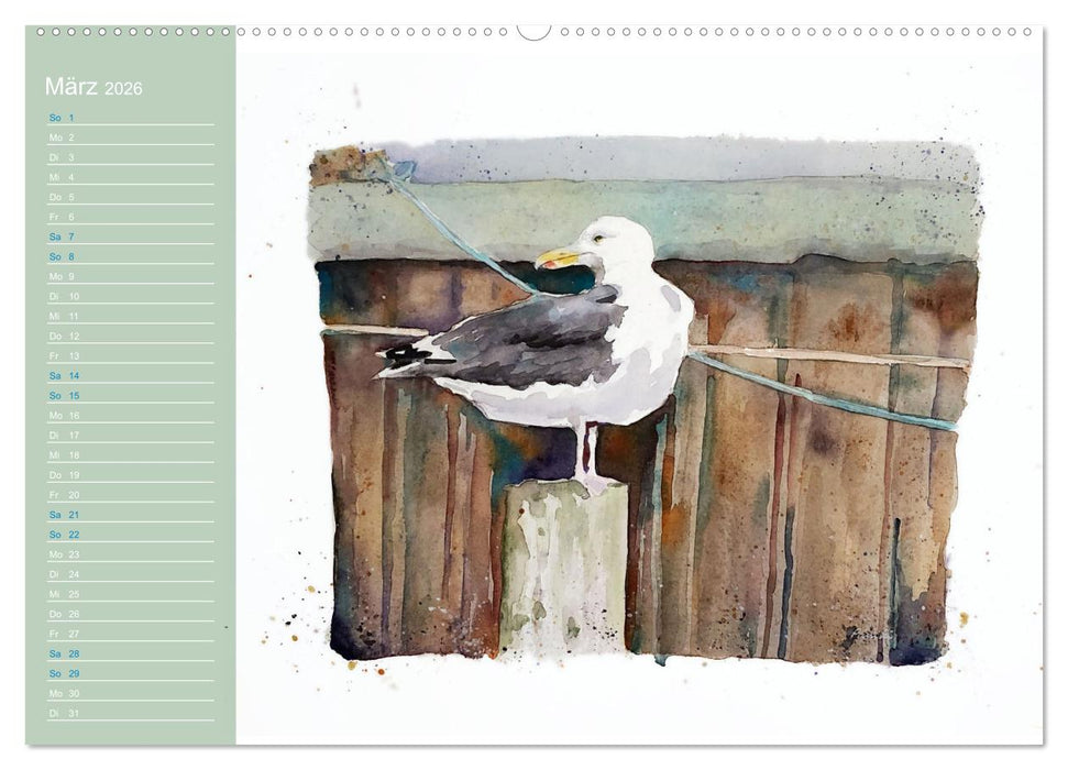 Möwen - Aquarelle von Julia Pasinski (CALVENDO Wandkalender 2026)
