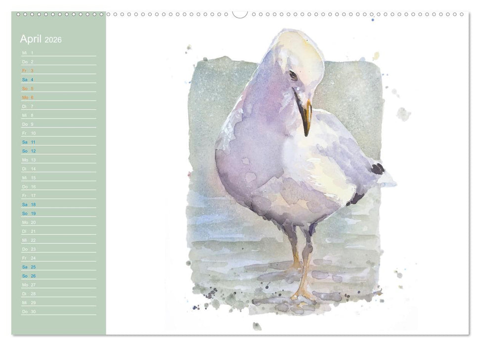 Möwen - Aquarelle von Julia Pasinski (CALVENDO Wandkalender 2026)