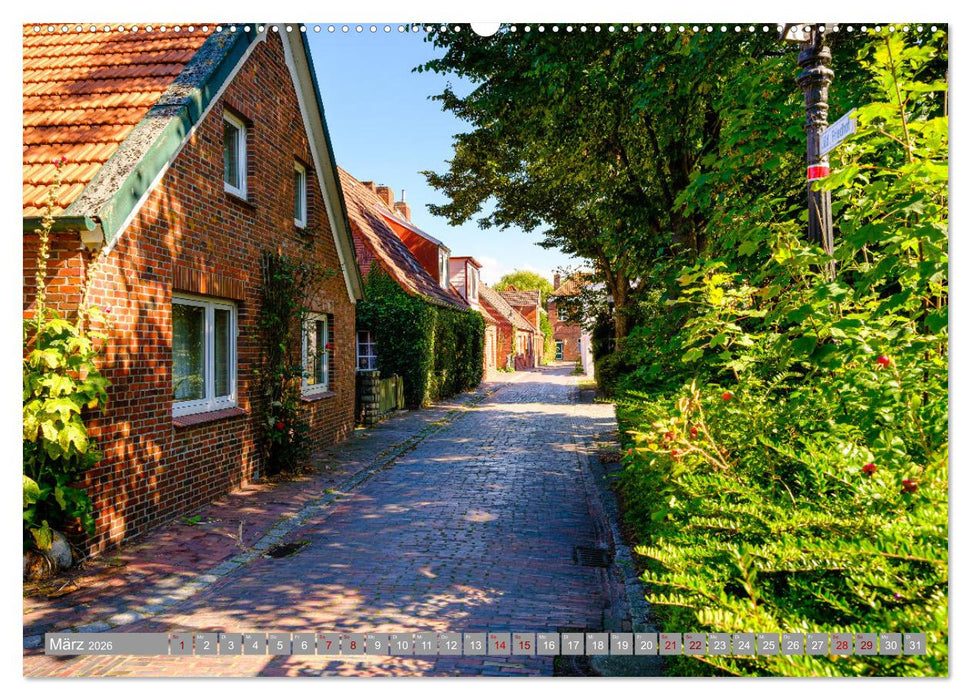 Ein Blick auf Dornum (CALVENDO Wandkalender 2026)