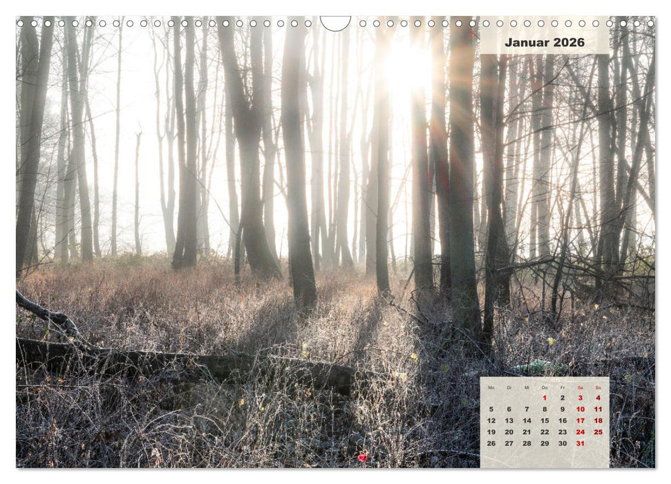 Ein Jahr Niederrhein Wiesen und Wälder (CALVENDO Wandkalender 2026)