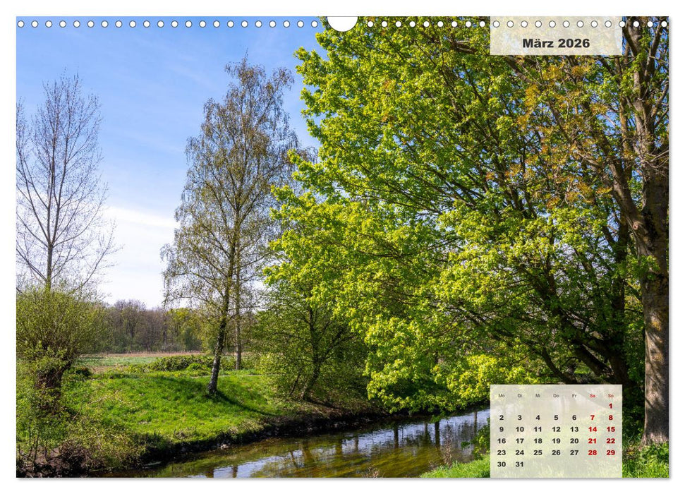 Ein Jahr Niederrhein Wiesen und Wälder (CALVENDO Wandkalender 2026)