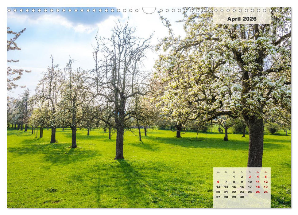 Ein Jahr Niederrhein Wiesen und Wälder (CALVENDO Wandkalender 2026)