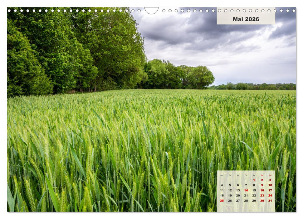 Ein Jahr Niederrhein Wiesen und Wälder (CALVENDO Wandkalender 2026)