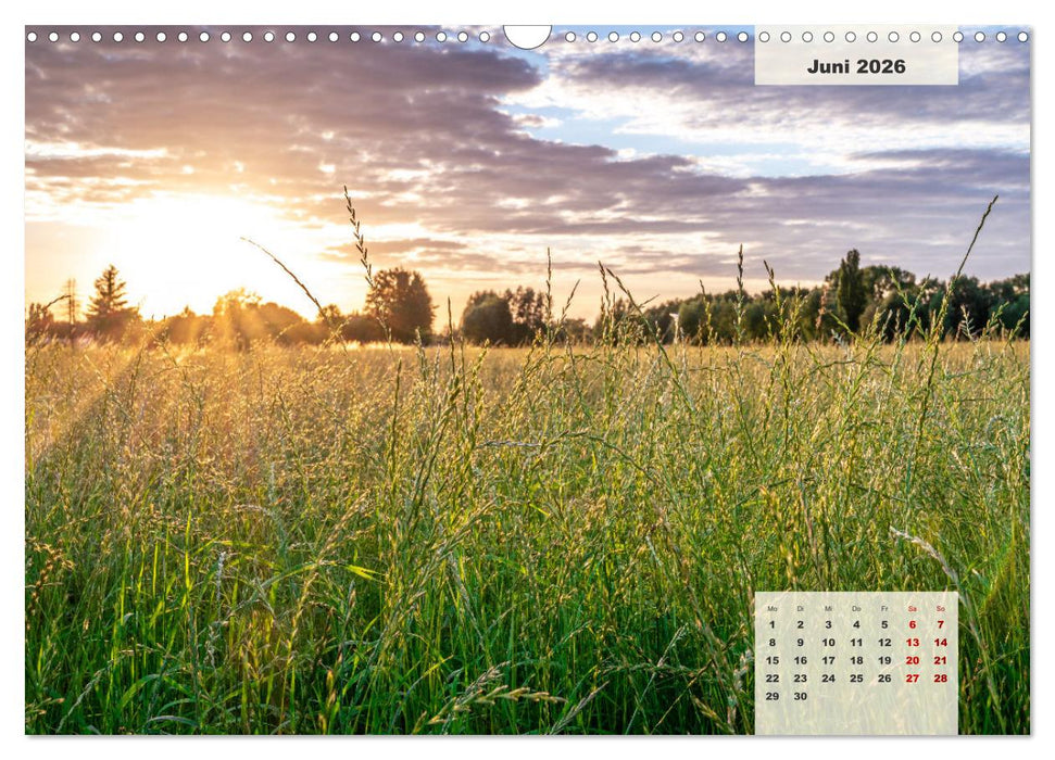 Ein Jahr Niederrhein Wiesen und Wälder (CALVENDO Wandkalender 2026)
