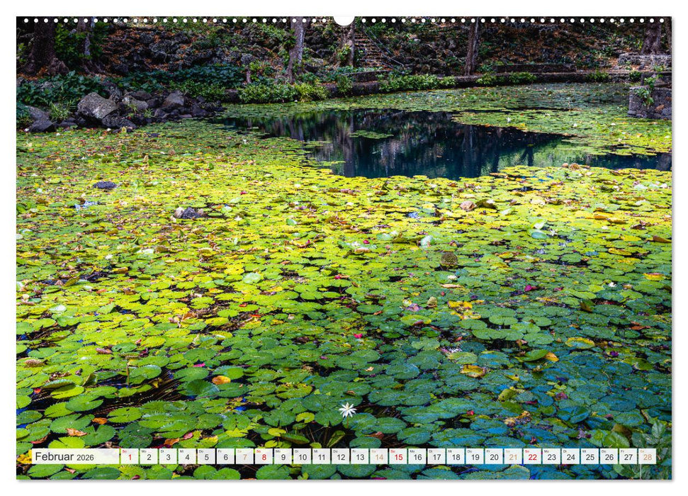 Trauminseln der Welt - Mauritius (CALVENDO Wandkalender 2026)