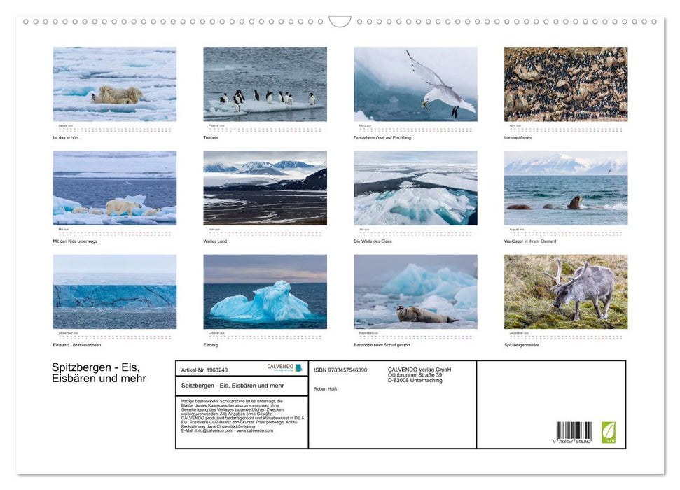 Spitzbergen - Eis, Eisbären und mehr (CALVENDO Wandkalender 2026)