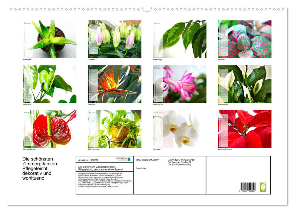 Die schönsten Zimmerpflanzen. Pflegeleicht, dekorativ und wohltuend (CALVENDO Wandkalender 2026)