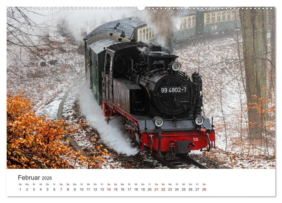 Ein ganzes Jahr unter Volldampf! (CALVENDO Wandkalender 2026)
