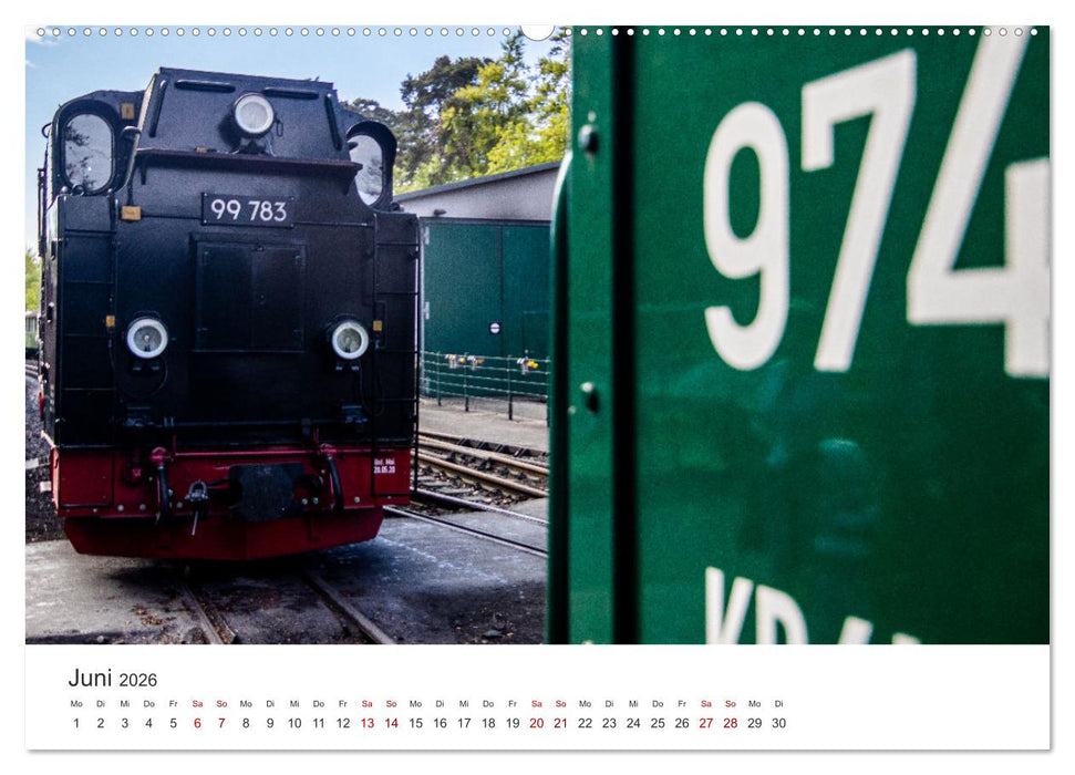 Ein ganzes Jahr unter Volldampf! (CALVENDO Wandkalender 2026)