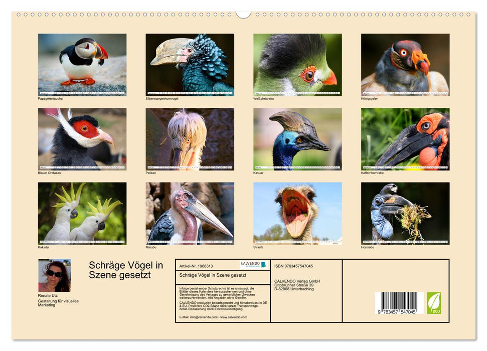 Schräge Vögel in Szene gesetzt (CALVENDO Premium Wandkalender 2026)