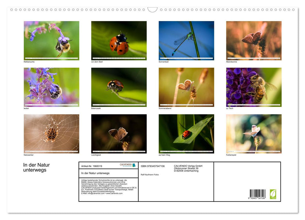 In der Natur unterwegs (CALVENDO Wandkalender 2026)
