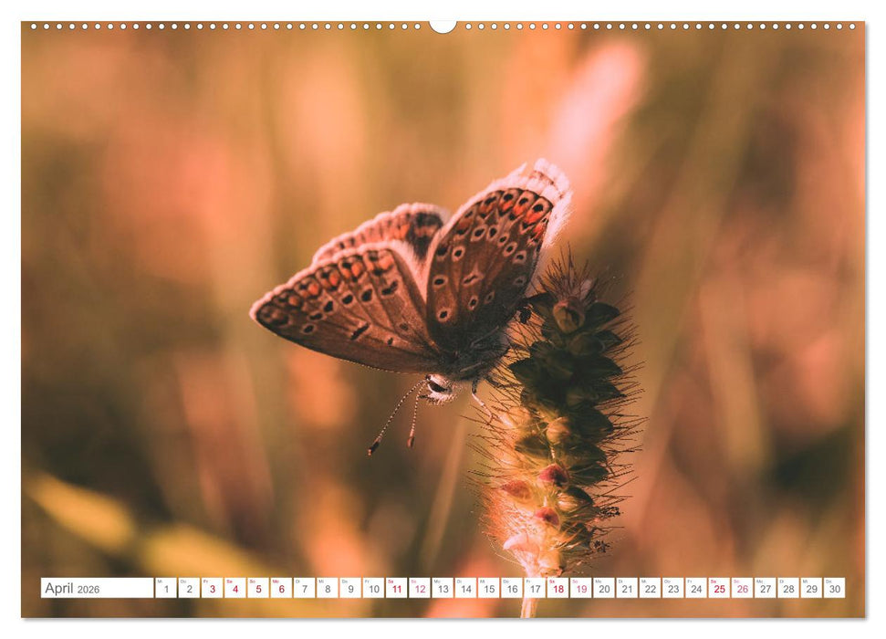 In der Natur unterwegs (CALVENDO Wandkalender 2026)