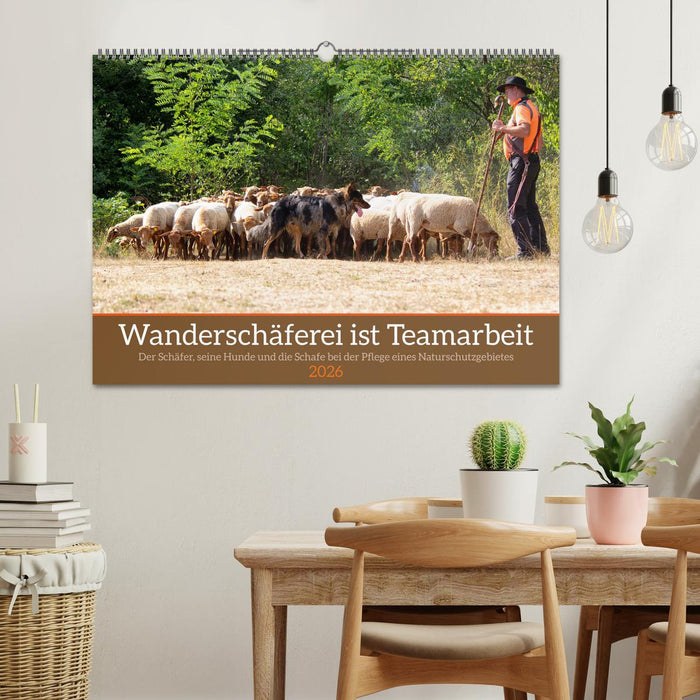 Wanderschäferei ist Teamarbeit (CALVENDO Wandkalender 2026)