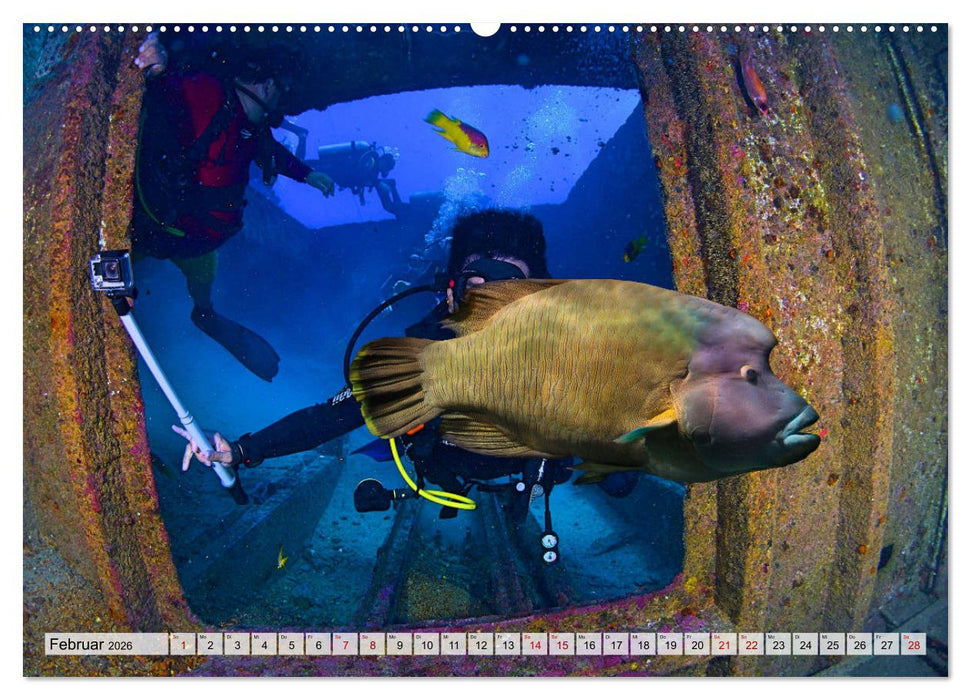 Faszination Wracktauchen (CALVENDO Premium Wandkalender 2026)