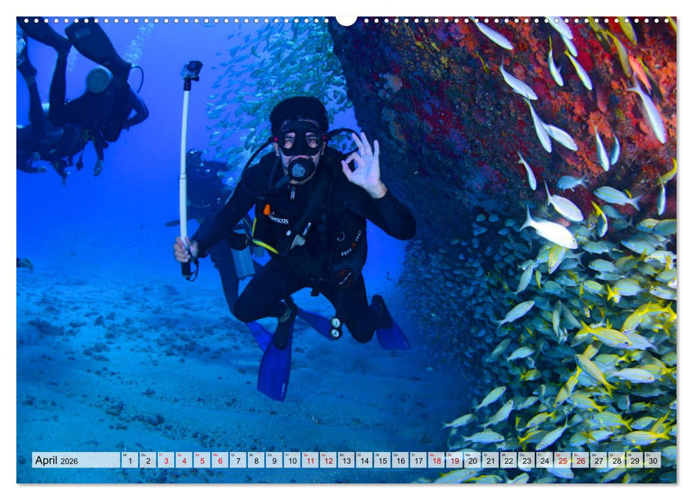 Faszination Wracktauchen (CALVENDO Premium Wandkalender 2026)