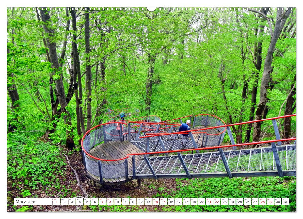 Traumküste - Estlands Naturparadies Saka (CALVENDO Wandkalender 2026)