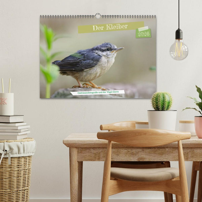 Der Kleiber - Ostfriesenfotografie und der Vogel-Zorro (CALVENDO Wandkalender 2026)