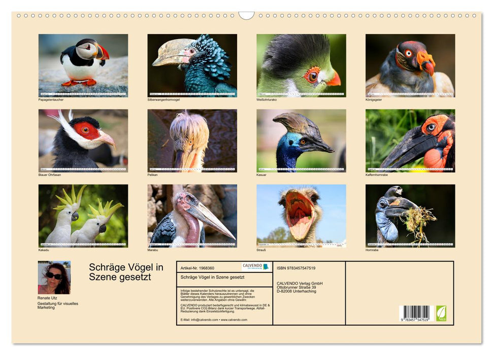 Schräge Vögel in Szene gesetzt (CALVENDO Wandkalender 2026)