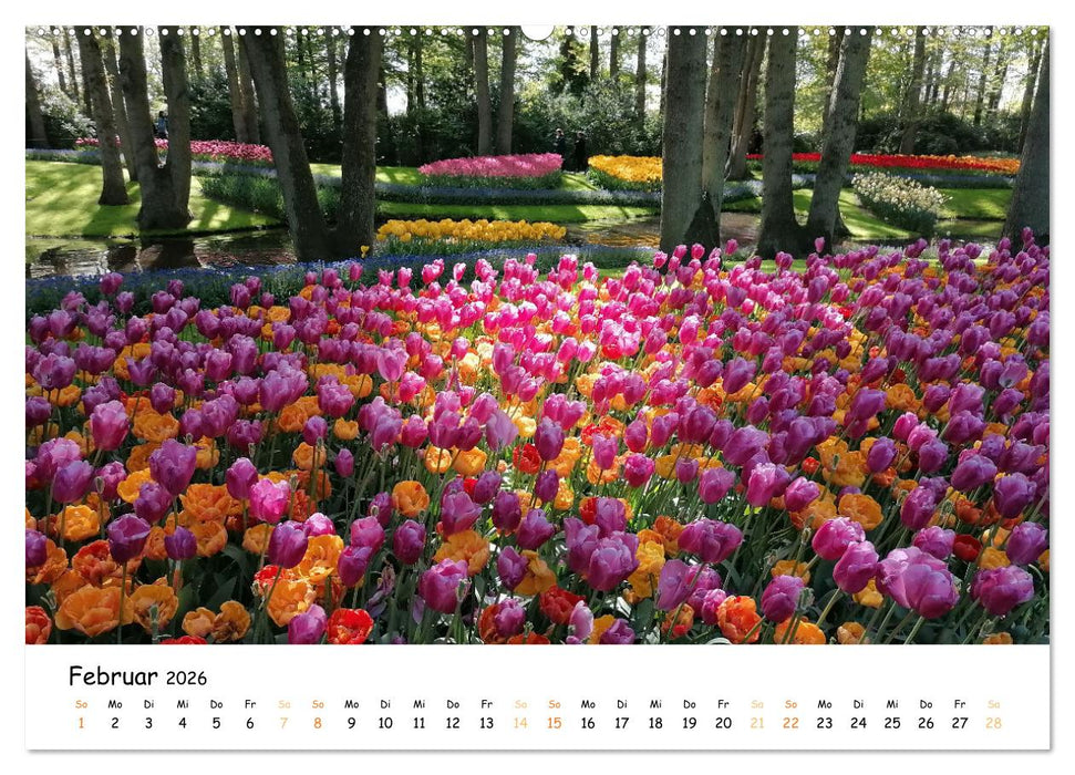 Auf Tour im Land der Tulpen (CALVENDO Wandkalender 2026)