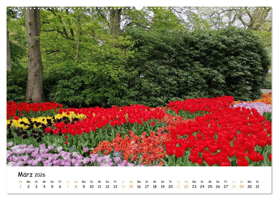 Auf Tour im Land der Tulpen (CALVENDO Wandkalender 2026)