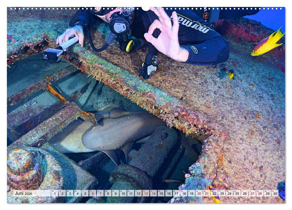 Faszination Wracktauchen (CALVENDO Wandkalender 2026)