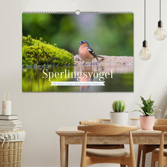 Sperlingsvögel - Die kleinen Sänger mit den großen Stimmen (CALVENDO Wandkalender 2026)