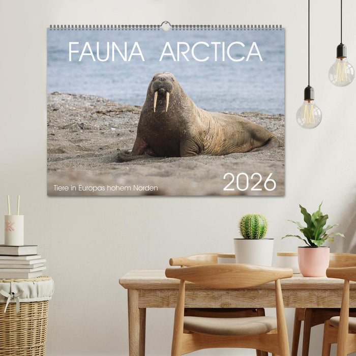 Fauna arctica (CALVENDO Wandkalender 2026)