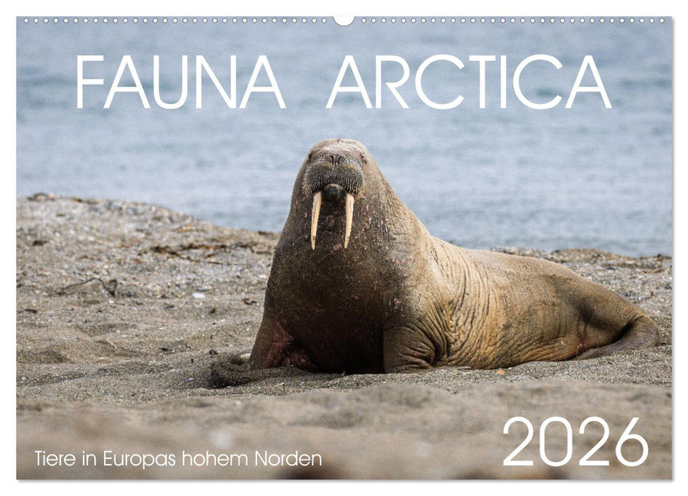 Fauna arctica (CALVENDO Wandkalender 2026)