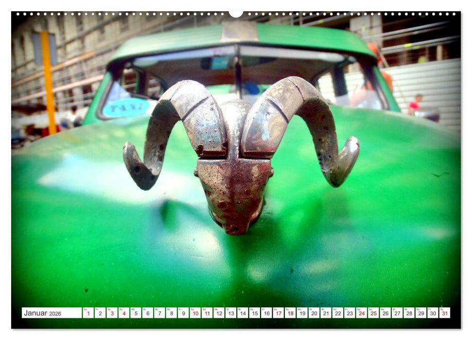 Tierische Oldtimer - Markante Kühlerfiguren (CALVENDO Wandkalender 2026)