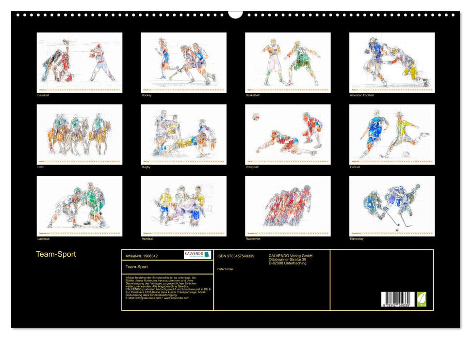 Team-Sport (CALVENDO Wandkalender 2026)