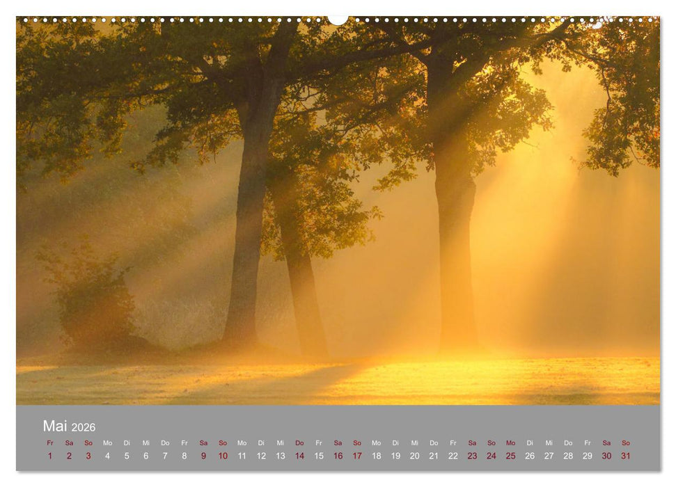 Nebelzauber (CALVENDO Wandkalender 2026)