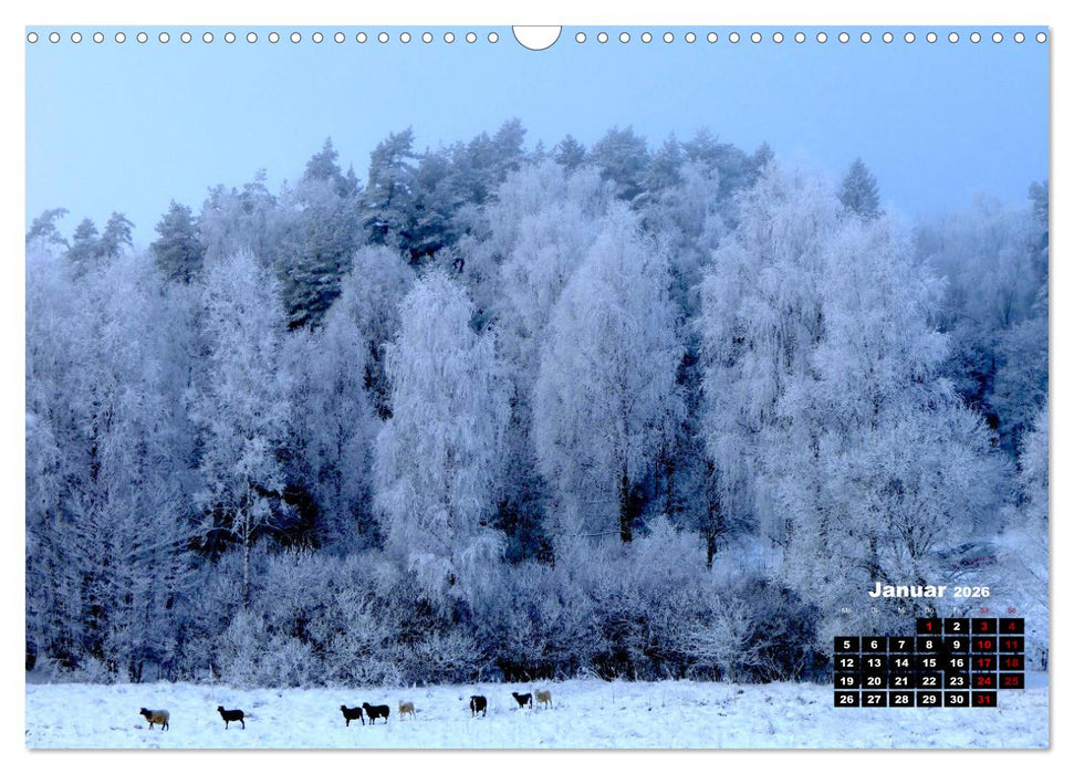Wintertraum in Smaland (CALVENDO Wandkalender 2026)