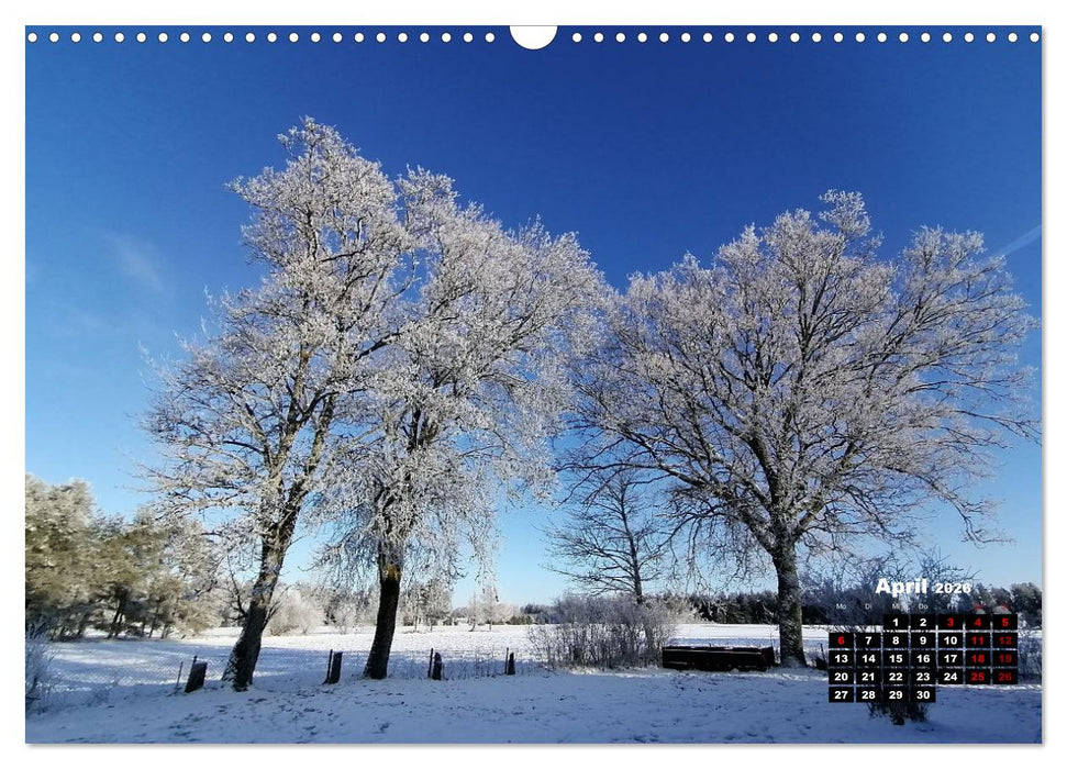 Wintertraum in Smaland (CALVENDO Wandkalender 2026)